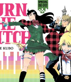 Anime et Manga Burn the Witch en France