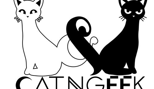 Concours CatnGeek 1an de Stream !